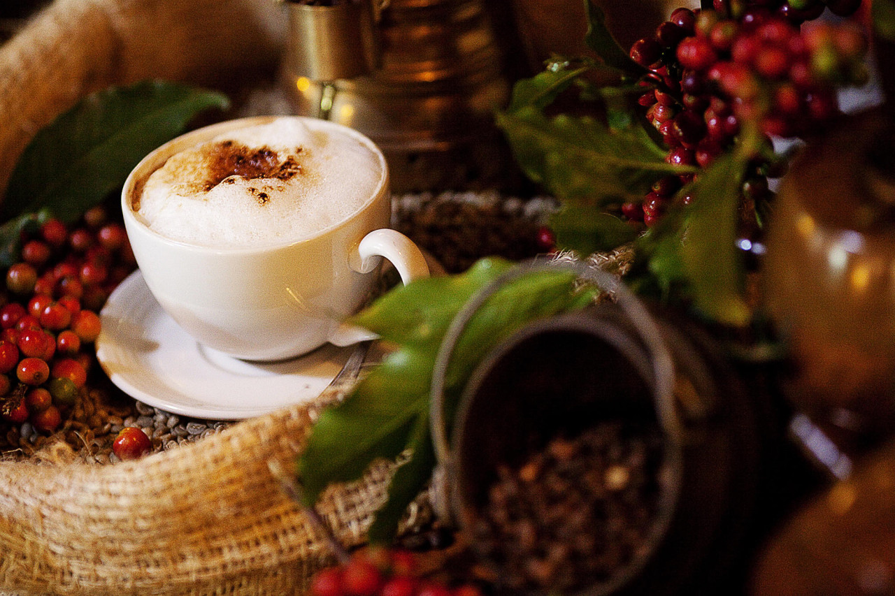 Aromen des Morgenkaffees aus der eigenen Farm