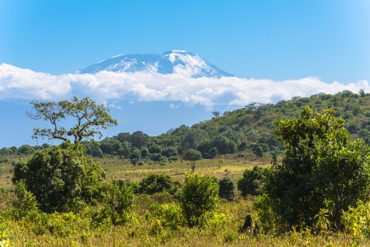 Mit etwas Glück ist der Kilimanjaro frei von Wolken