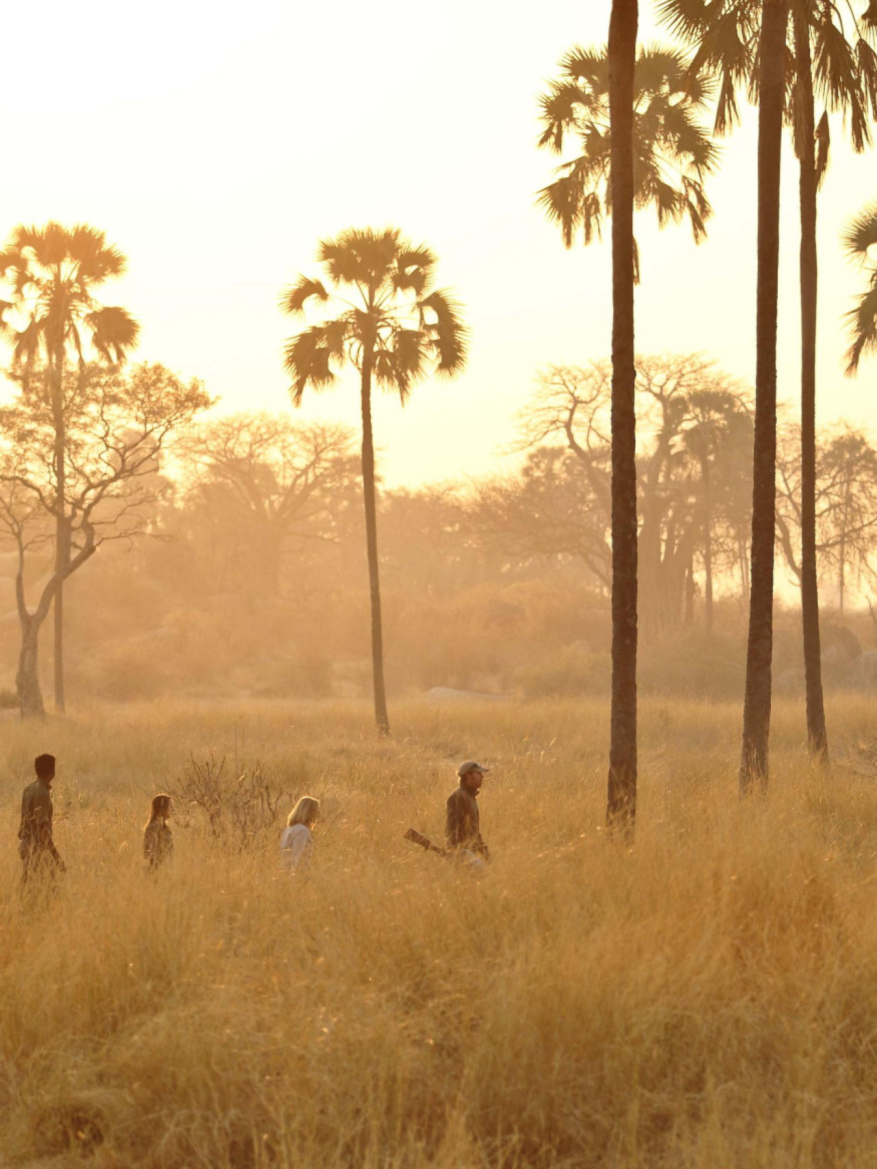 Camp mit klassischem Luxus-Wildnis-Erlebnis