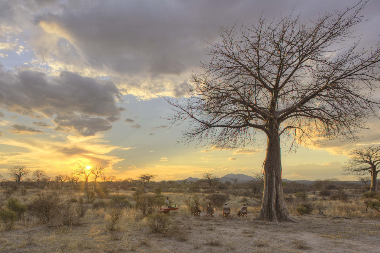 Sonnenuntergang in der Wildnis mit einem GinTonic