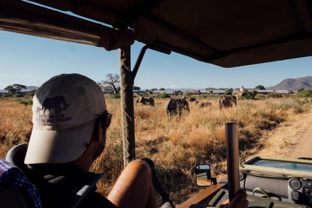 Spannende Wildbeobachtungen im Jeep oder zu Fuß