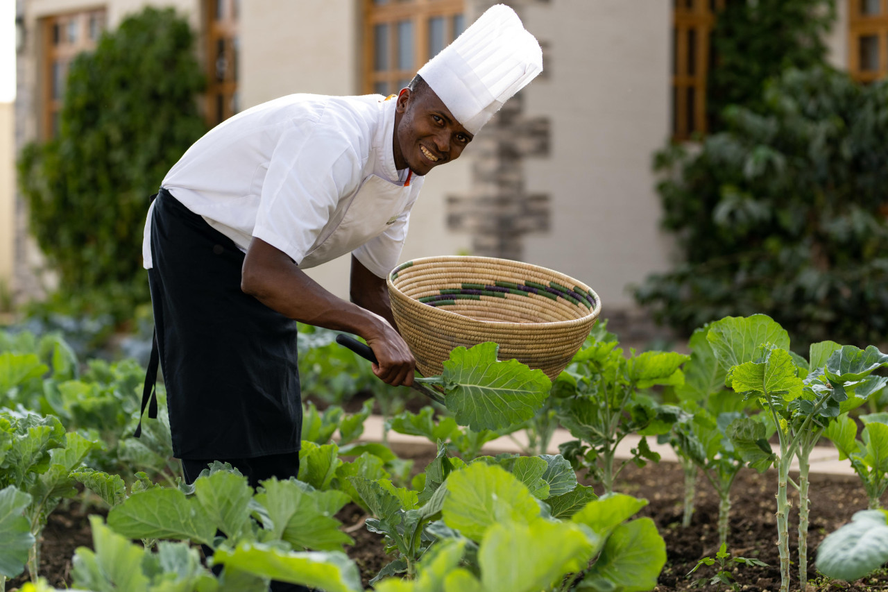 Frisches Gemüse aus dem eigenen Garten