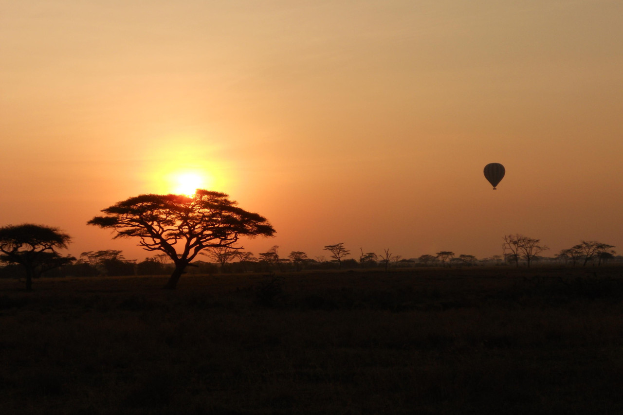 Ballonfahrt in der Serengeti zum Sonnenaufgang