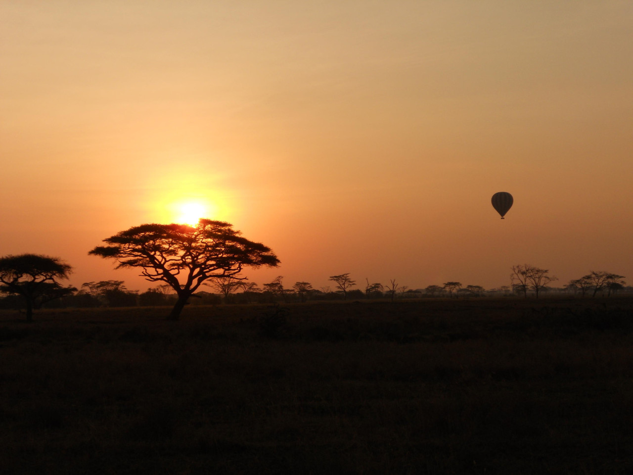 Ballonfahrt in der Serengeti zum Sonnenaufgang