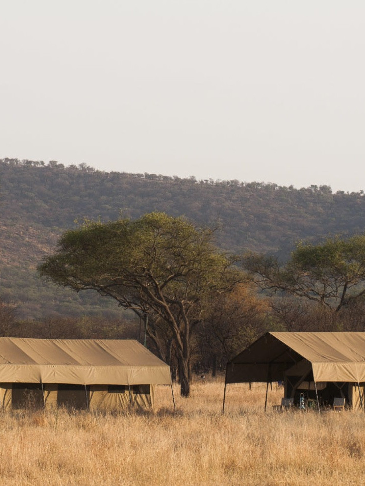 Naturnahes und authentisches Camp