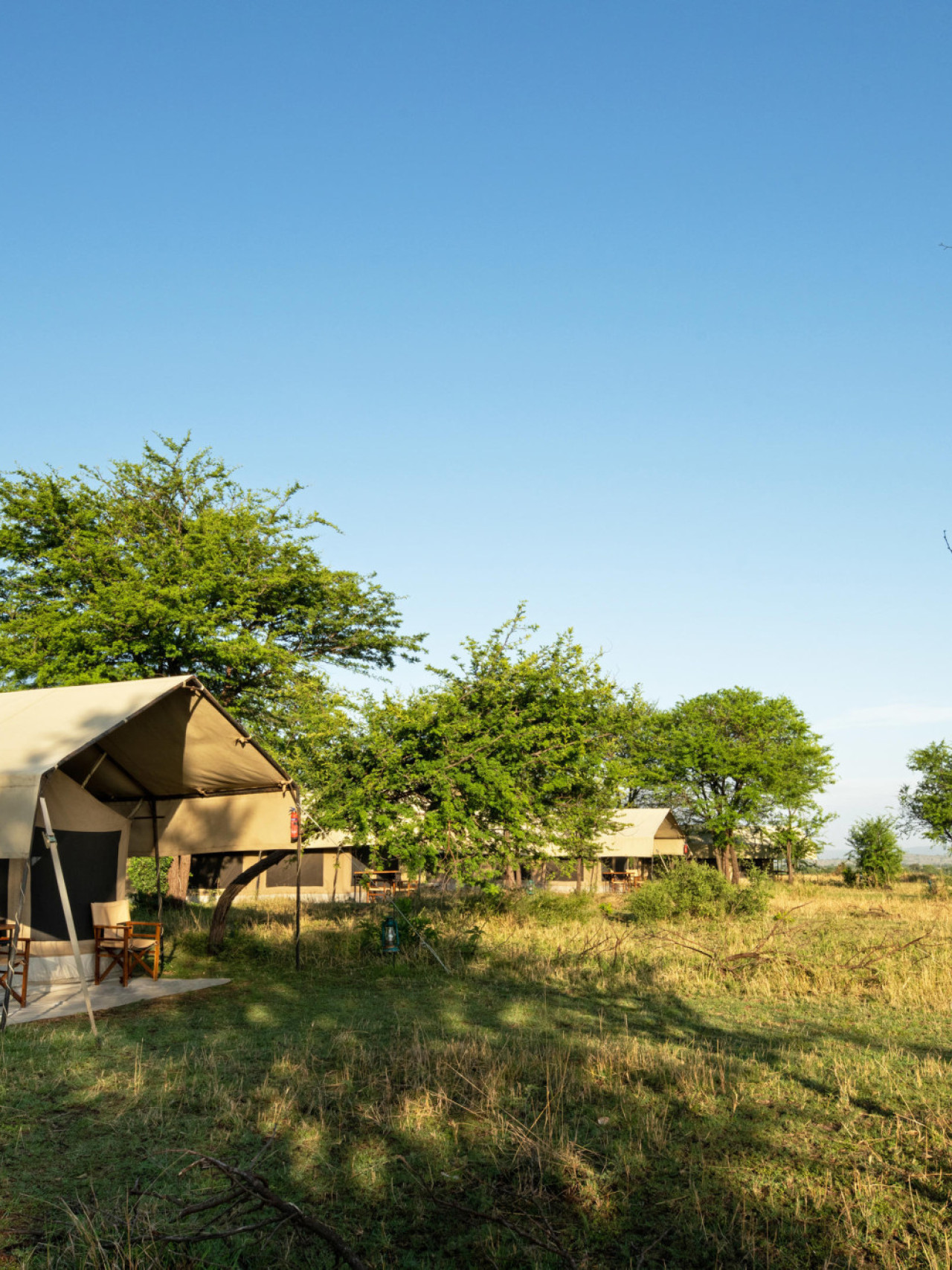Naturnahes und authentisches Camp