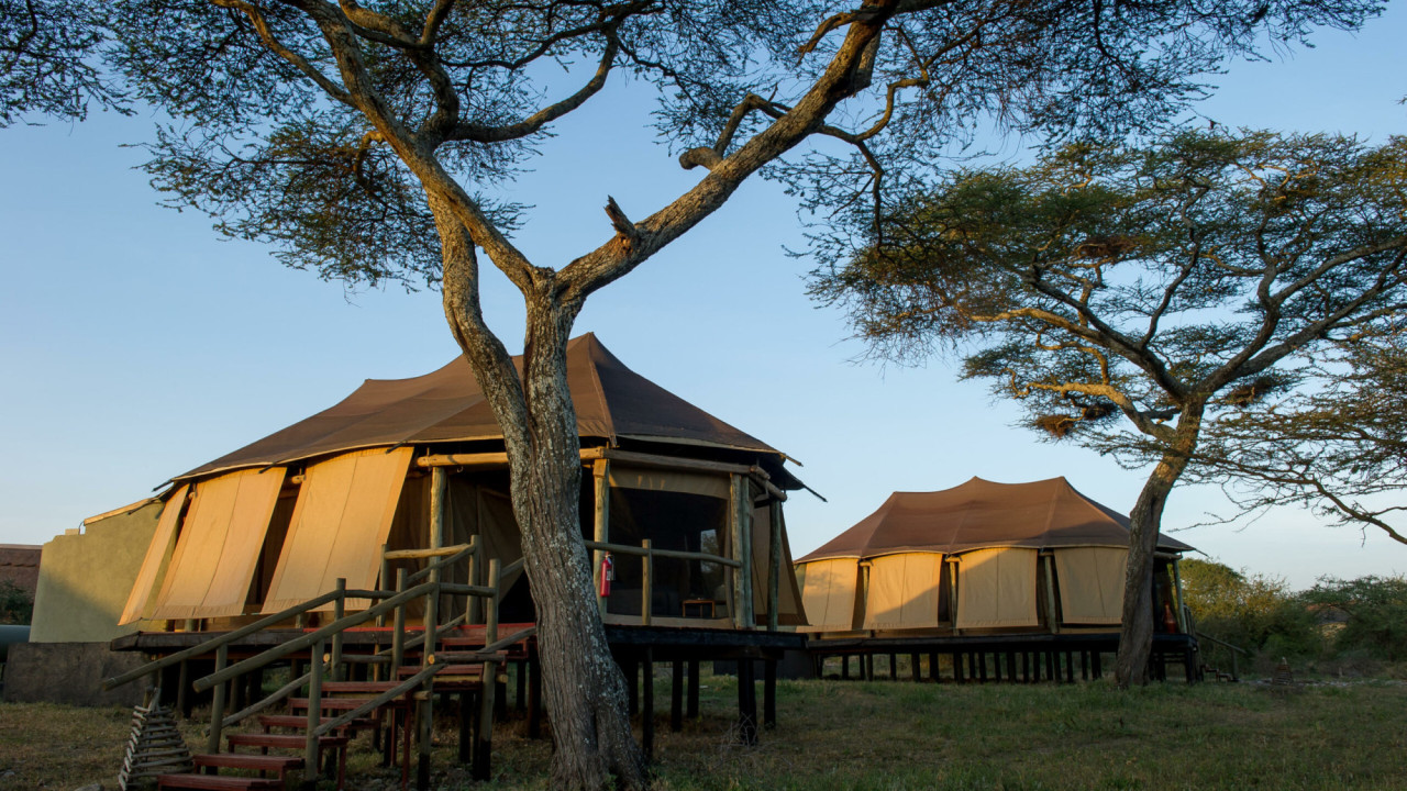 Schönes Premium-Camp im Herzen der Wildnis