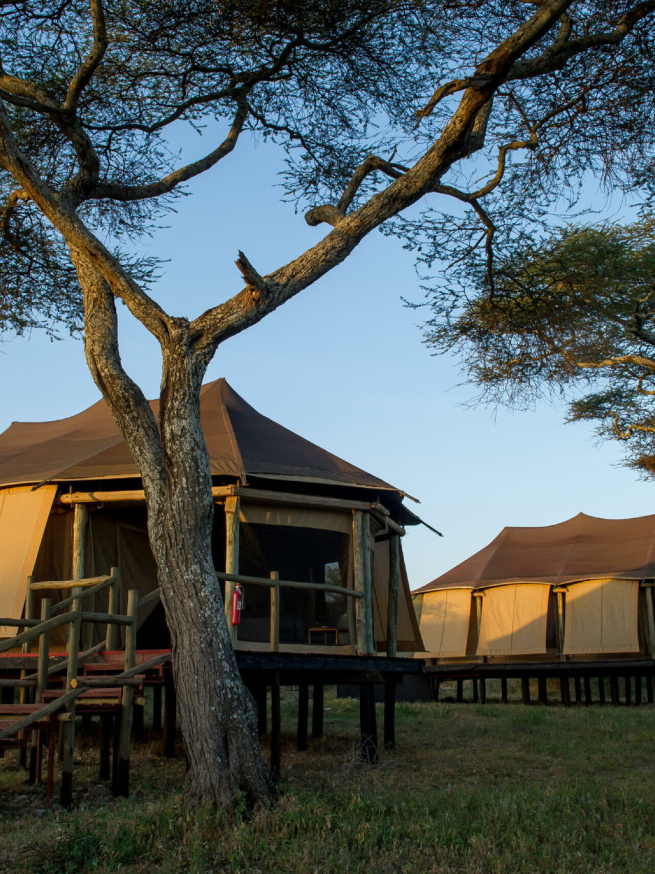 Schönes Premium-Camp im Herzen der Wildnis