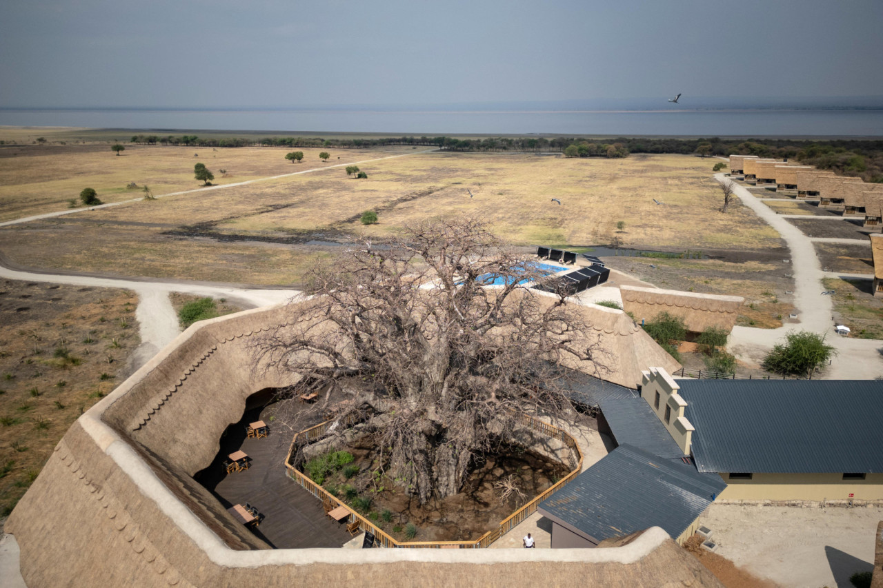 Uralter Baobab-Baum im Zentrum der Lodge