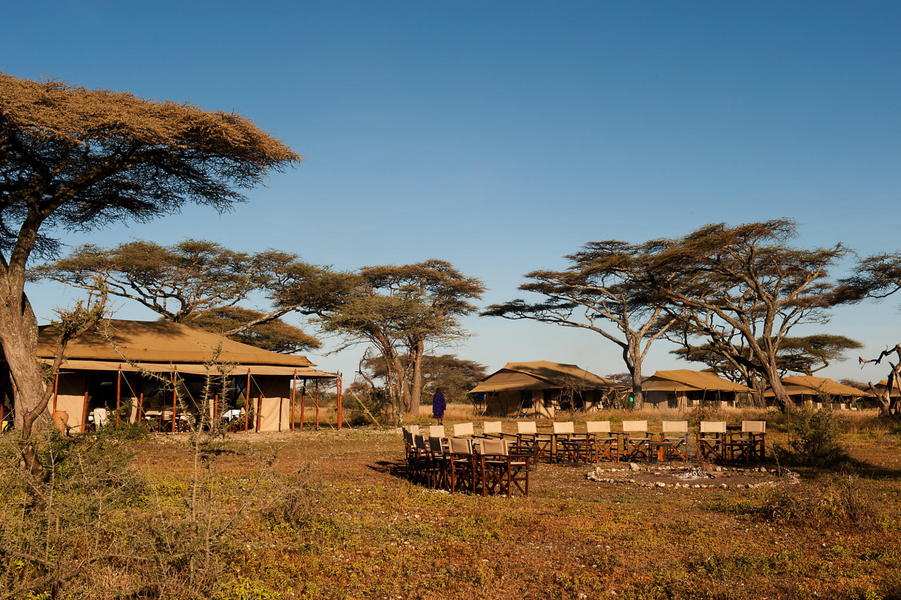 Authentisches Safari-Camp in der Nähe des Mara Flusses