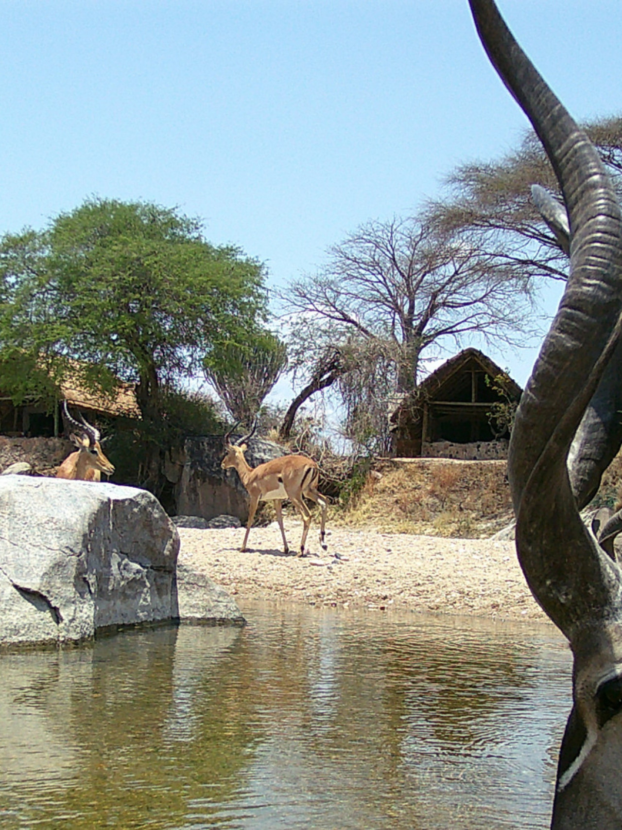 Komfortable Safari-Bandas mit Blick auf den Fluss