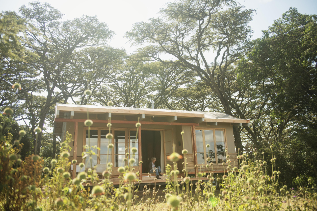 Cottage mit privater Veranda zwischen exotischen Pflanzen