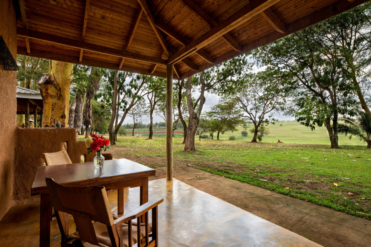 Die Terrasse mit Blick auf die Kaffeefarm