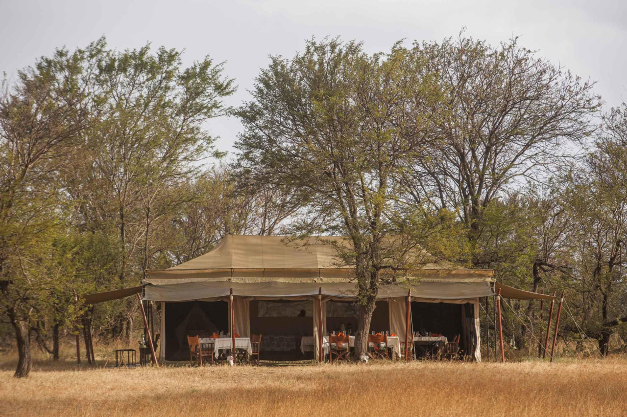 Hauptbereich mit Lounge, Bar und Essbereich