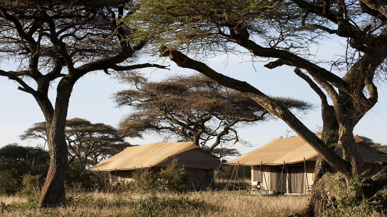 Authentisches Safari-Camp in der südlichen Serengeti
