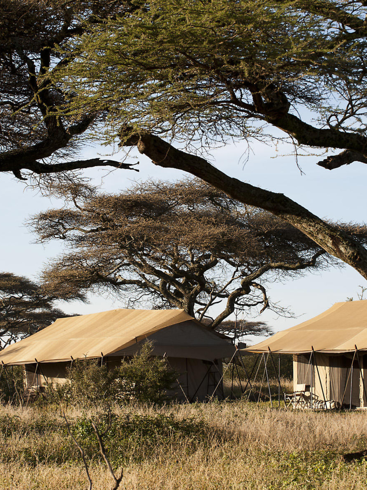 Authentisches Safari-Camp in der südlichen Serengeti