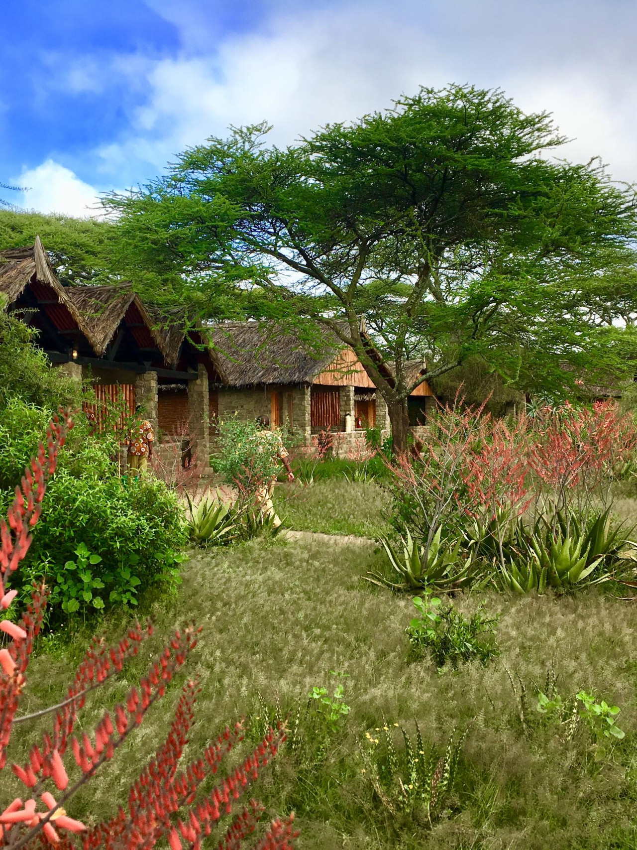 Traditionelle Lodge in außergewöhnlichen Wildlife-Gegend