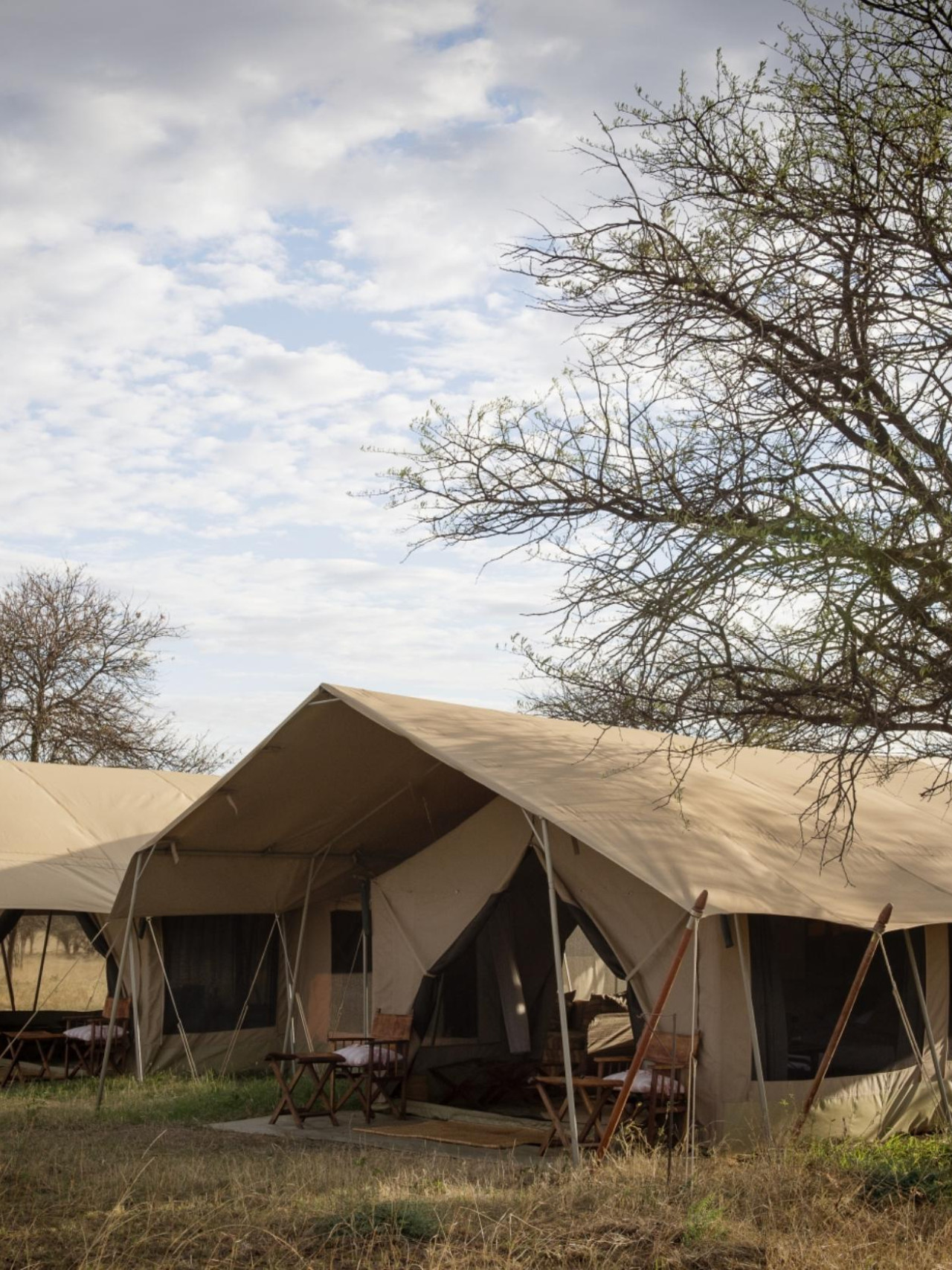 Mobiles Safari-Camp, das der Migration folgt