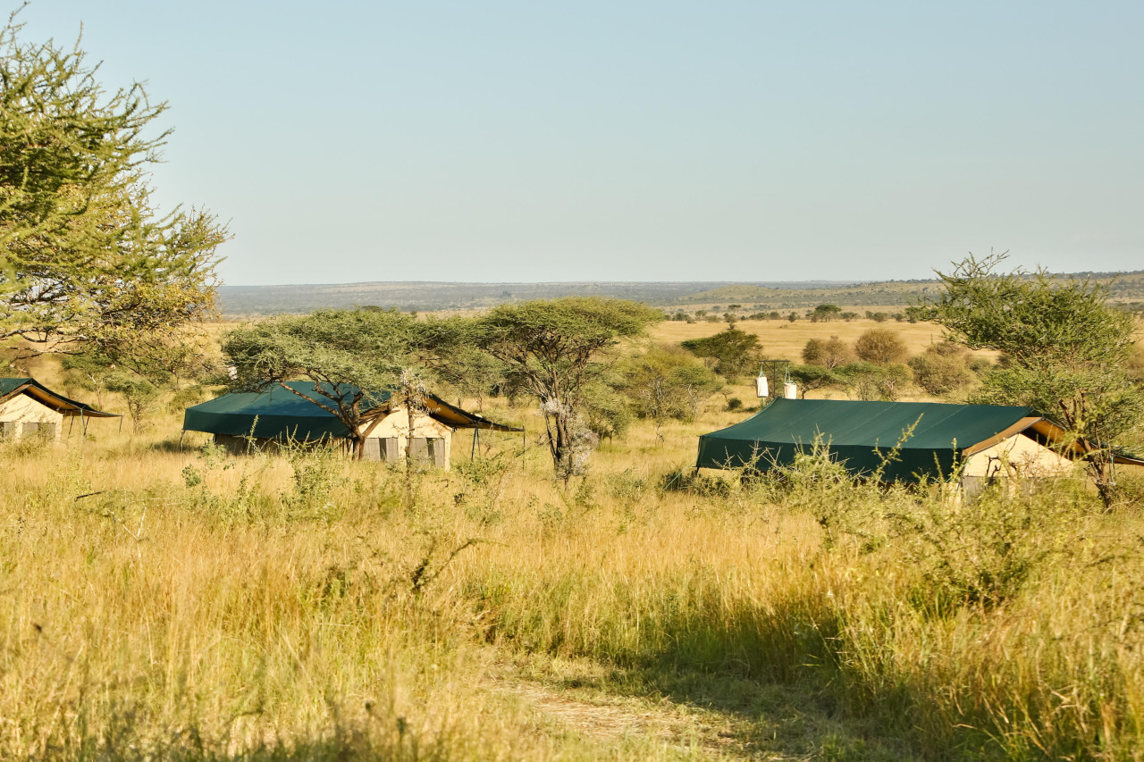 In der unendlichen Weite der zentralen Serengeti