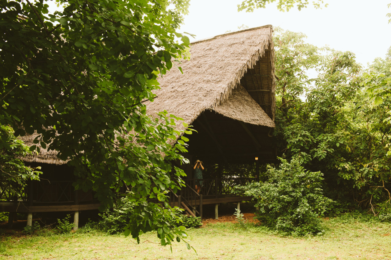 Die Cottages in Schatten spendenden Bäumen
