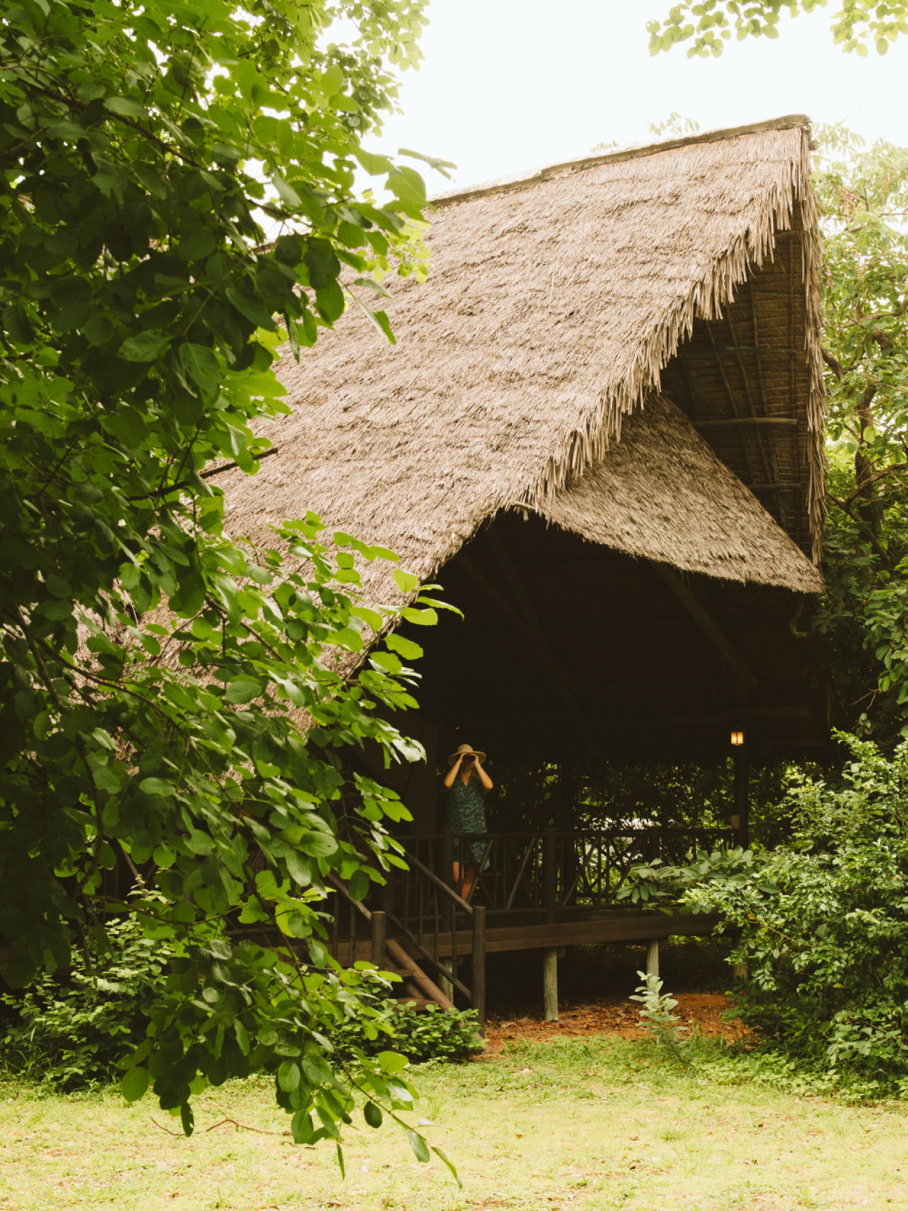 Die Cottages in Schatten spendenden Bäumen