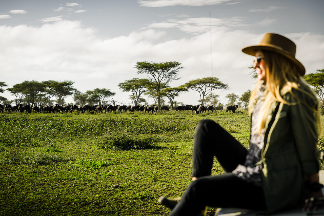 Unglaubliche Beobachtung der tausenden Gnus