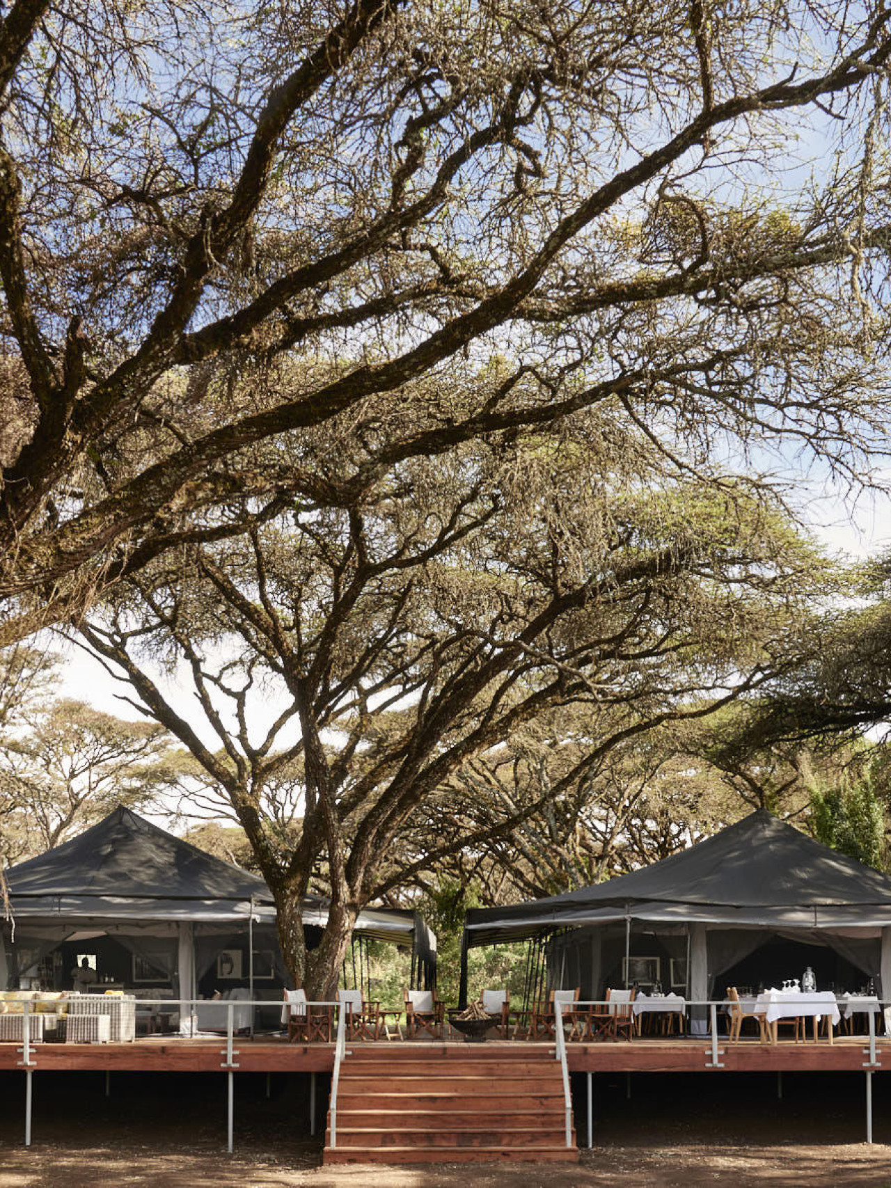 Außergewöhnliches Safari-Erlebnis am Ngorogoro Krater
