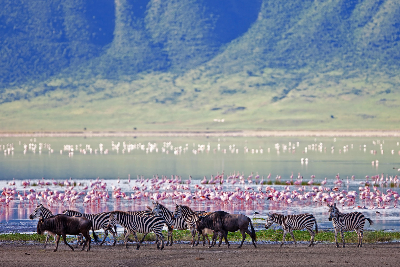 Atemberaubende Pirschfahrt im Ngorongoro Krater