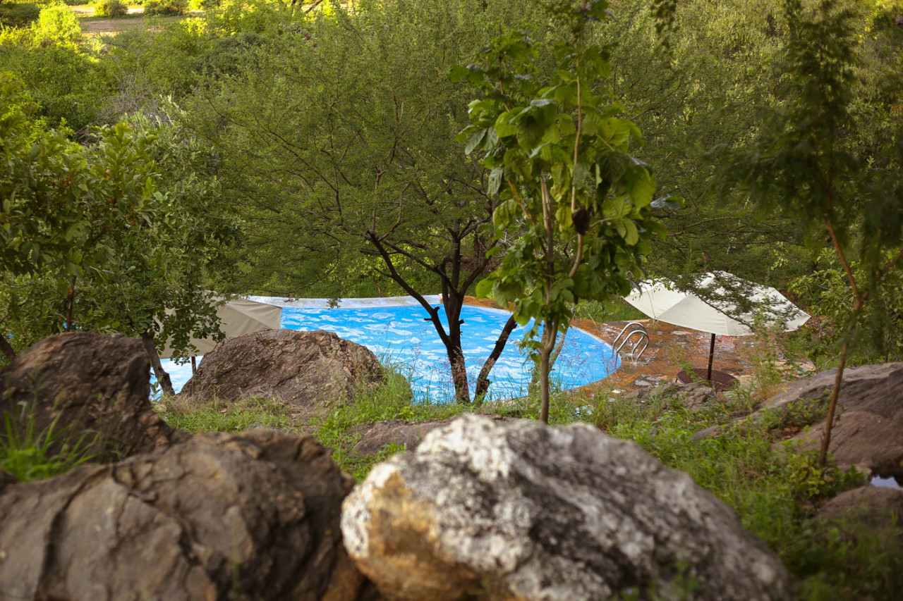 Erfrischender Sprung in den Pool während Siesta-Time