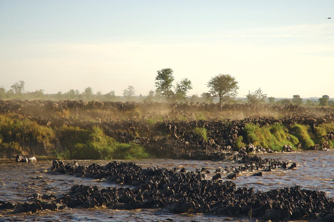 Von Juni bis März ist die beste Zeit im Norden der Serengeti