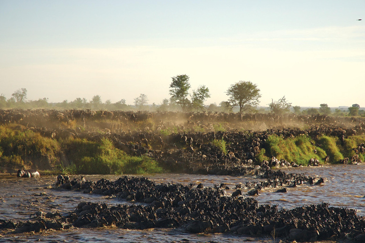 Von Juni bis März ist die beste Zeit im Norden der Serengeti