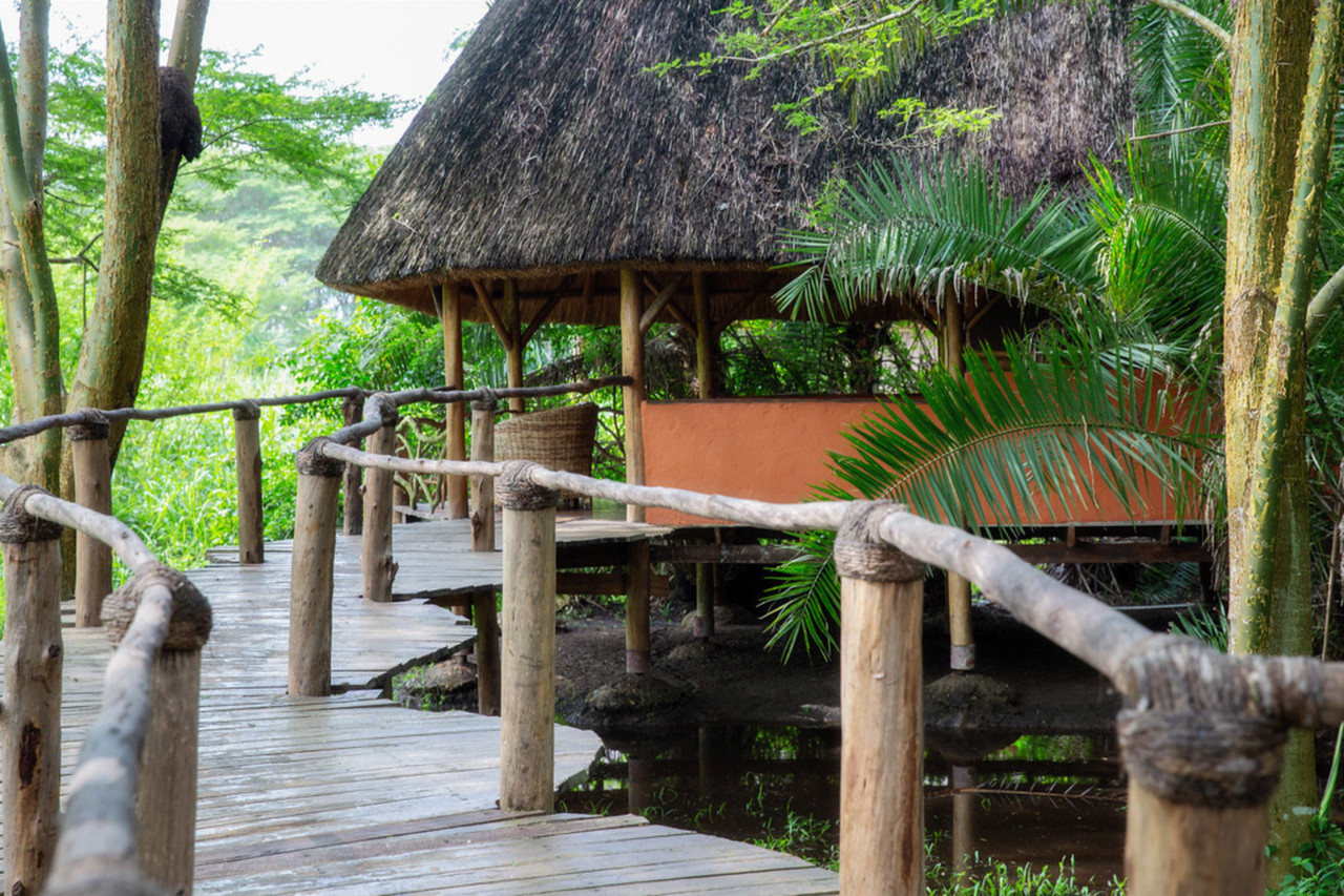 Herrliche Gartenanlage mit exotischen Pflanzen