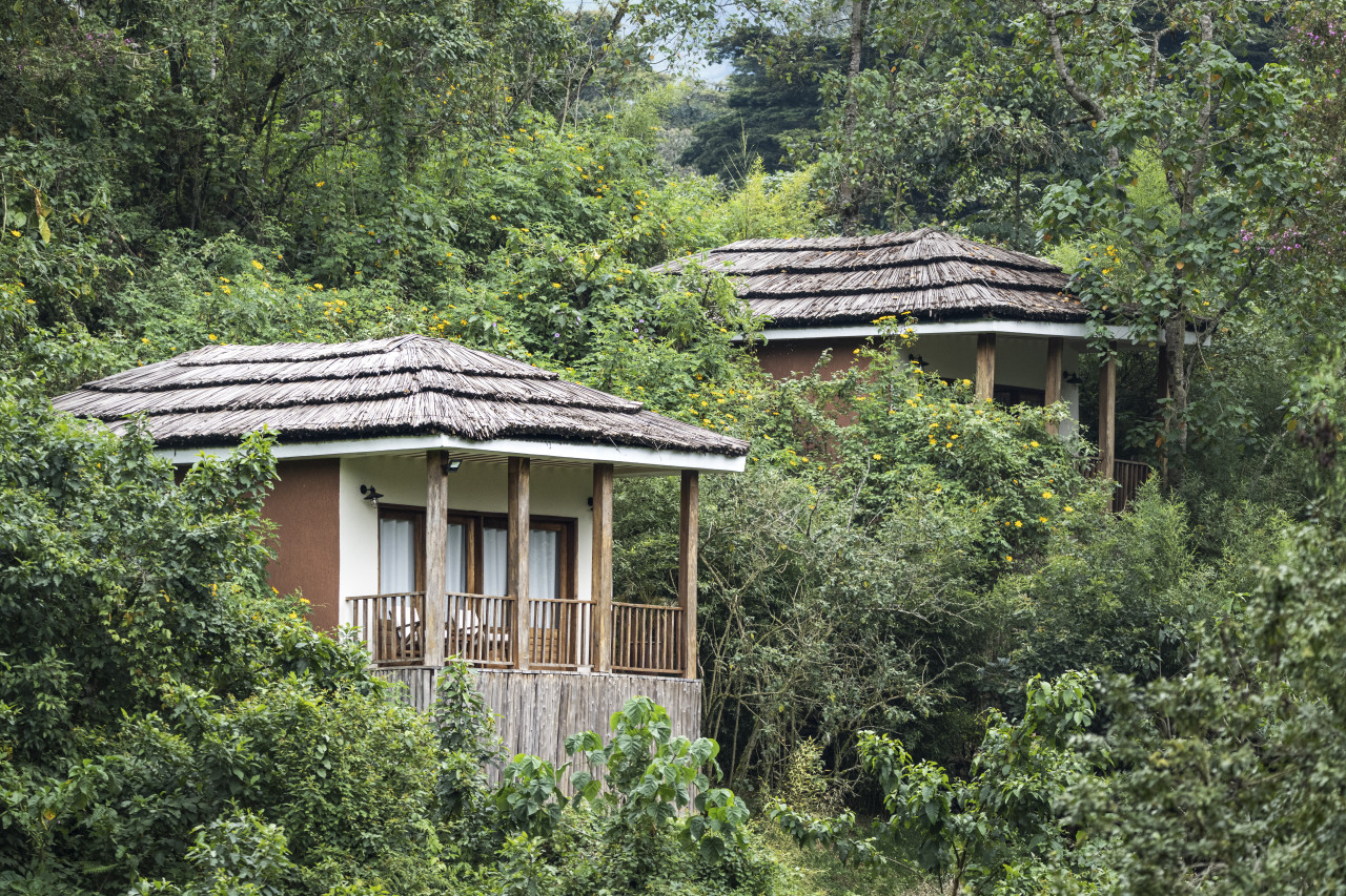 Luxusunterkunft am Rande des Bwindi Nationalparks