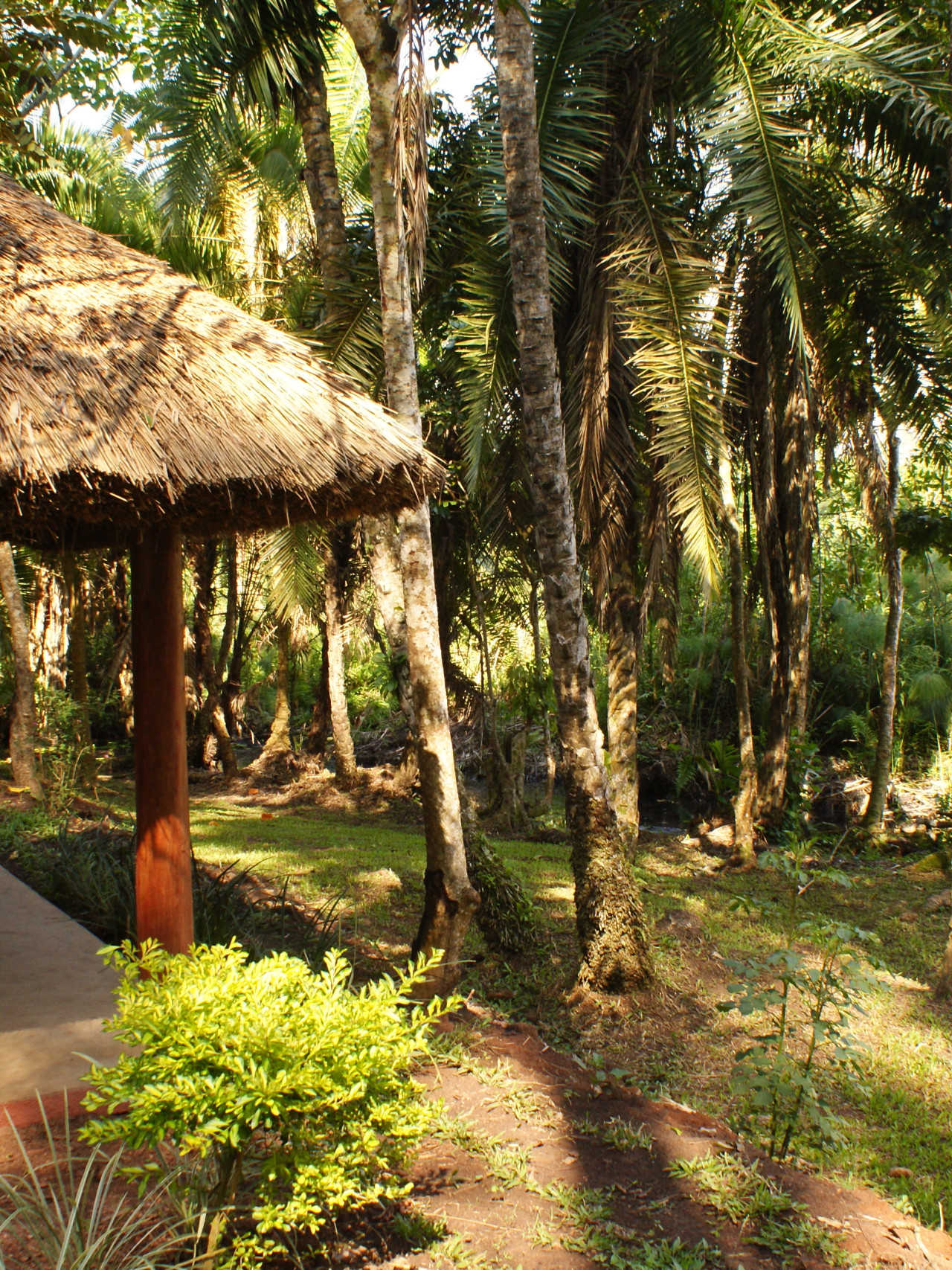 Authentisches Camp im üppigen Kibale Forest