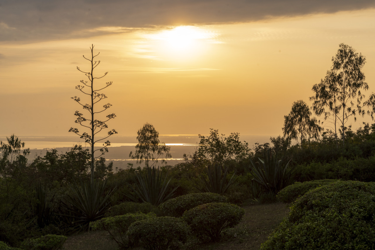 Atemberaubende Ausblicke auf die Wildnis