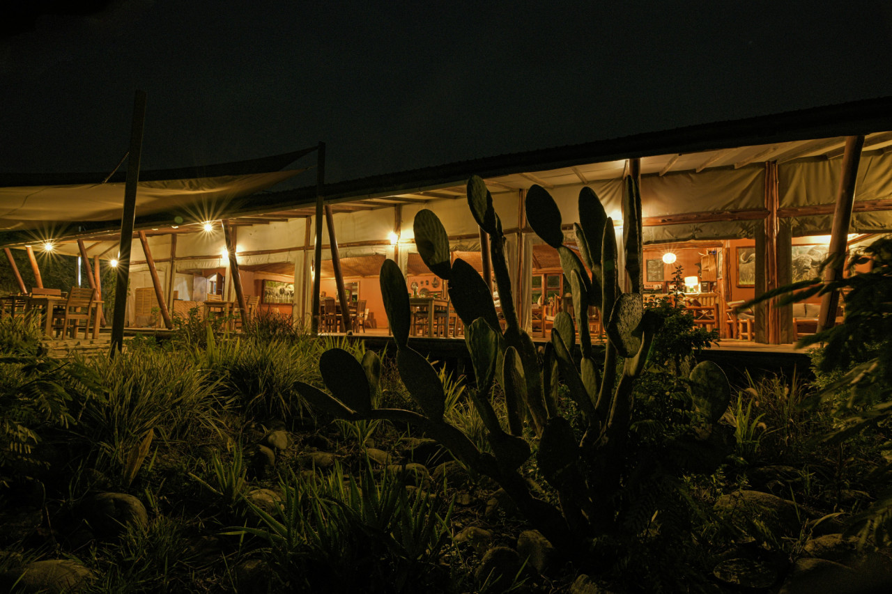 Das offene Restaurant für alle Mahlzeiten