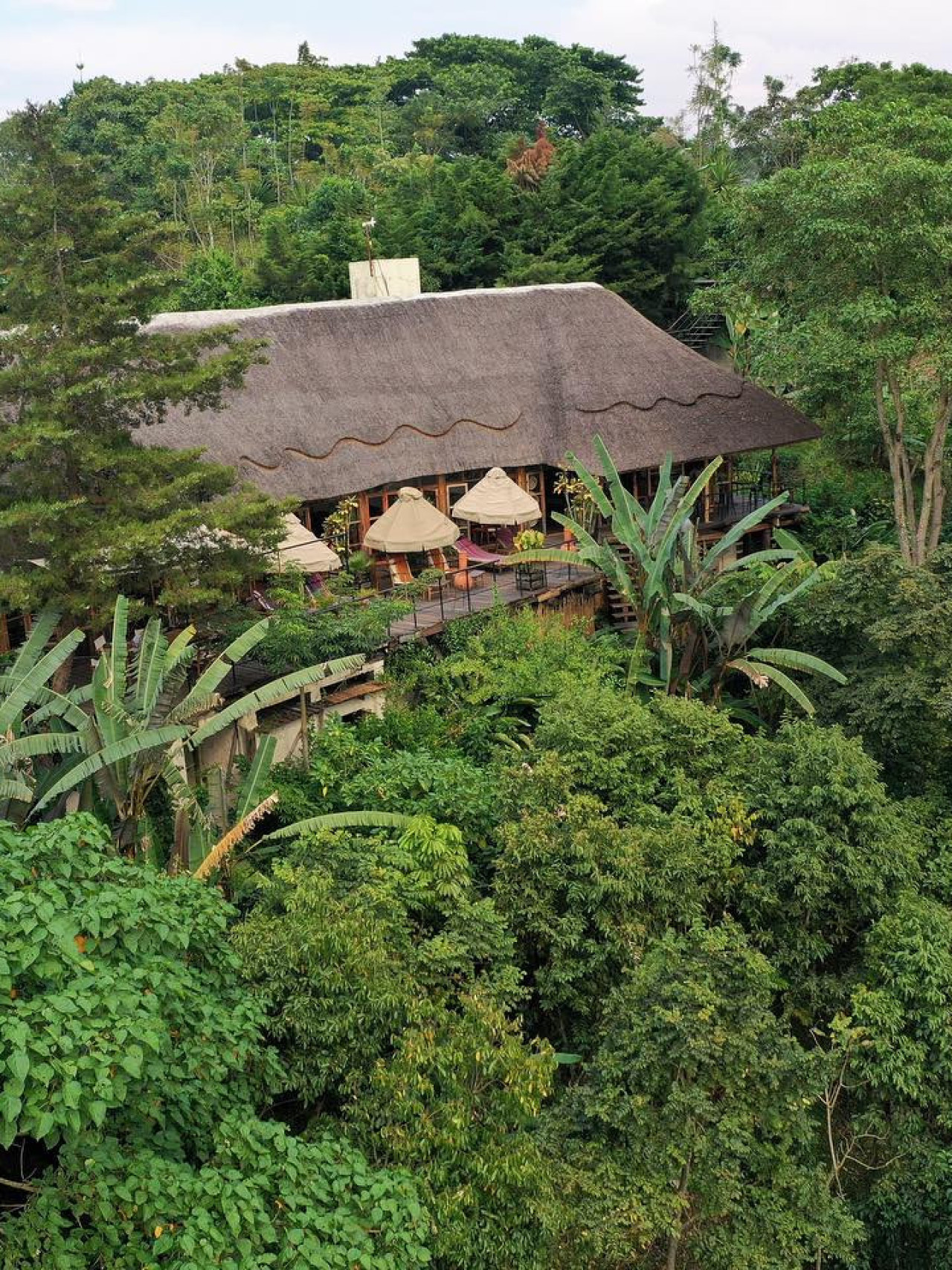 Herrliche Lodge im Vulkangebiet von Kibale