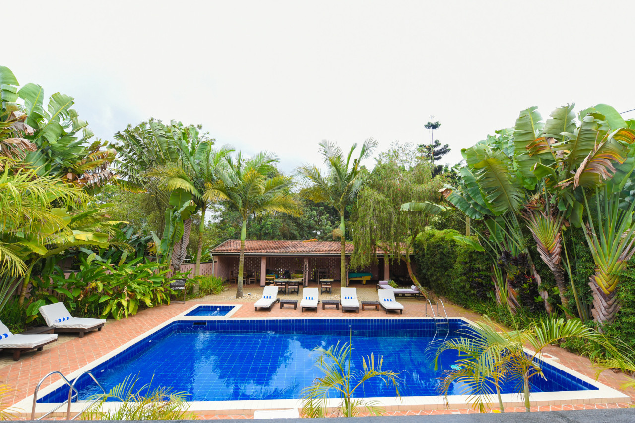 Erfrischender Pool in tropischem Garten