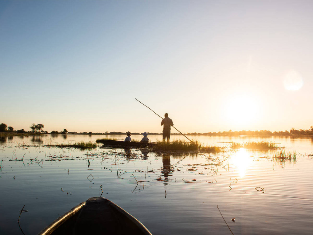 Tierbeobachtung ohne Grenzen im Okavango Delta