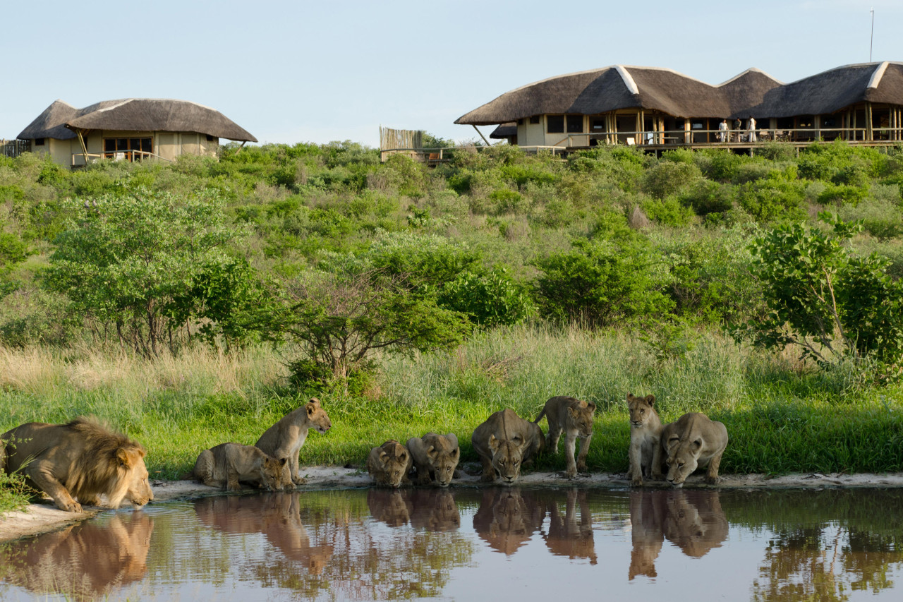 Umweltfreundliche Lodge mit Wasserloch