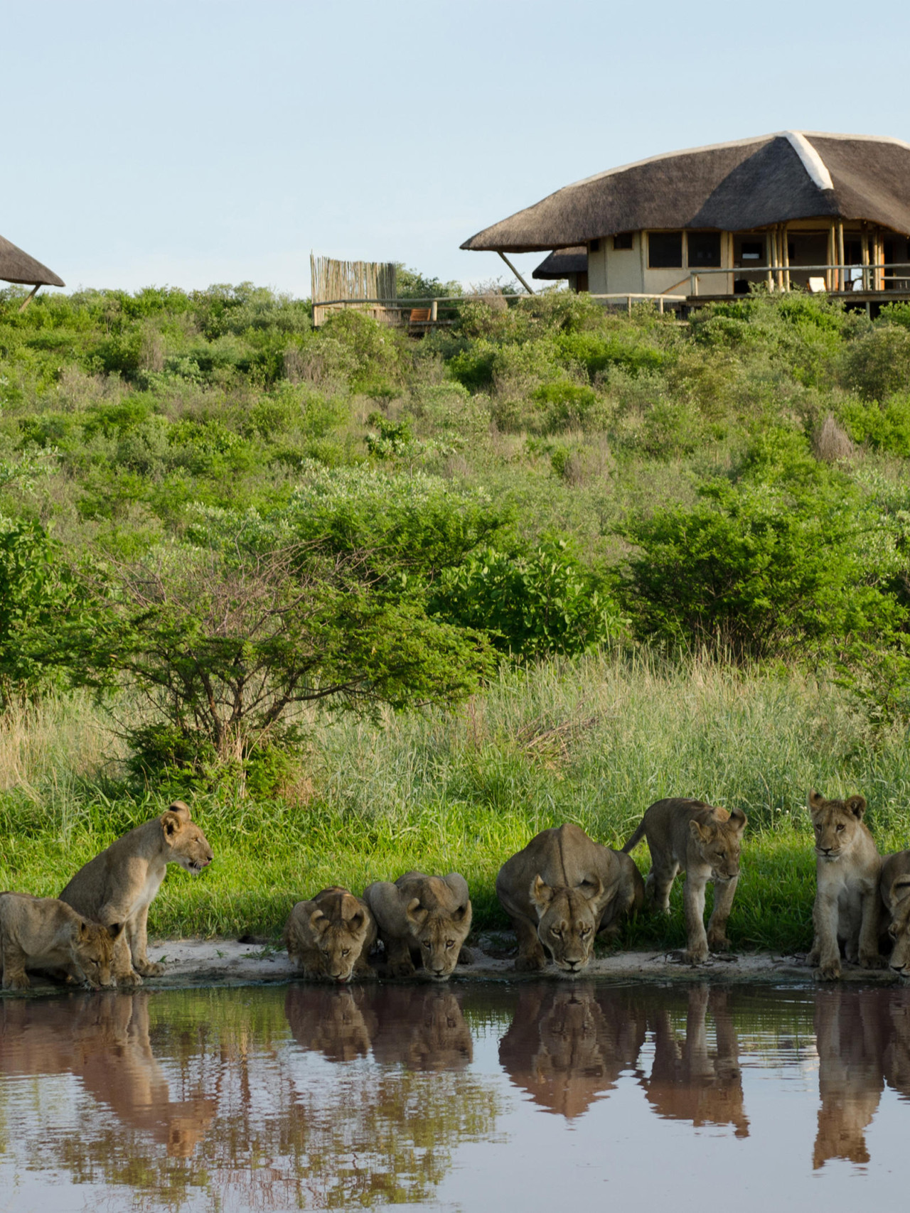 Umweltfreundliche Lodge mit Wasserloch
