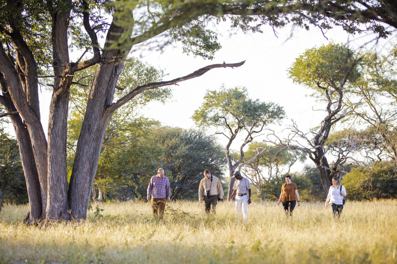 Interessante Wandersafari im privaten Naturschutzgebiet