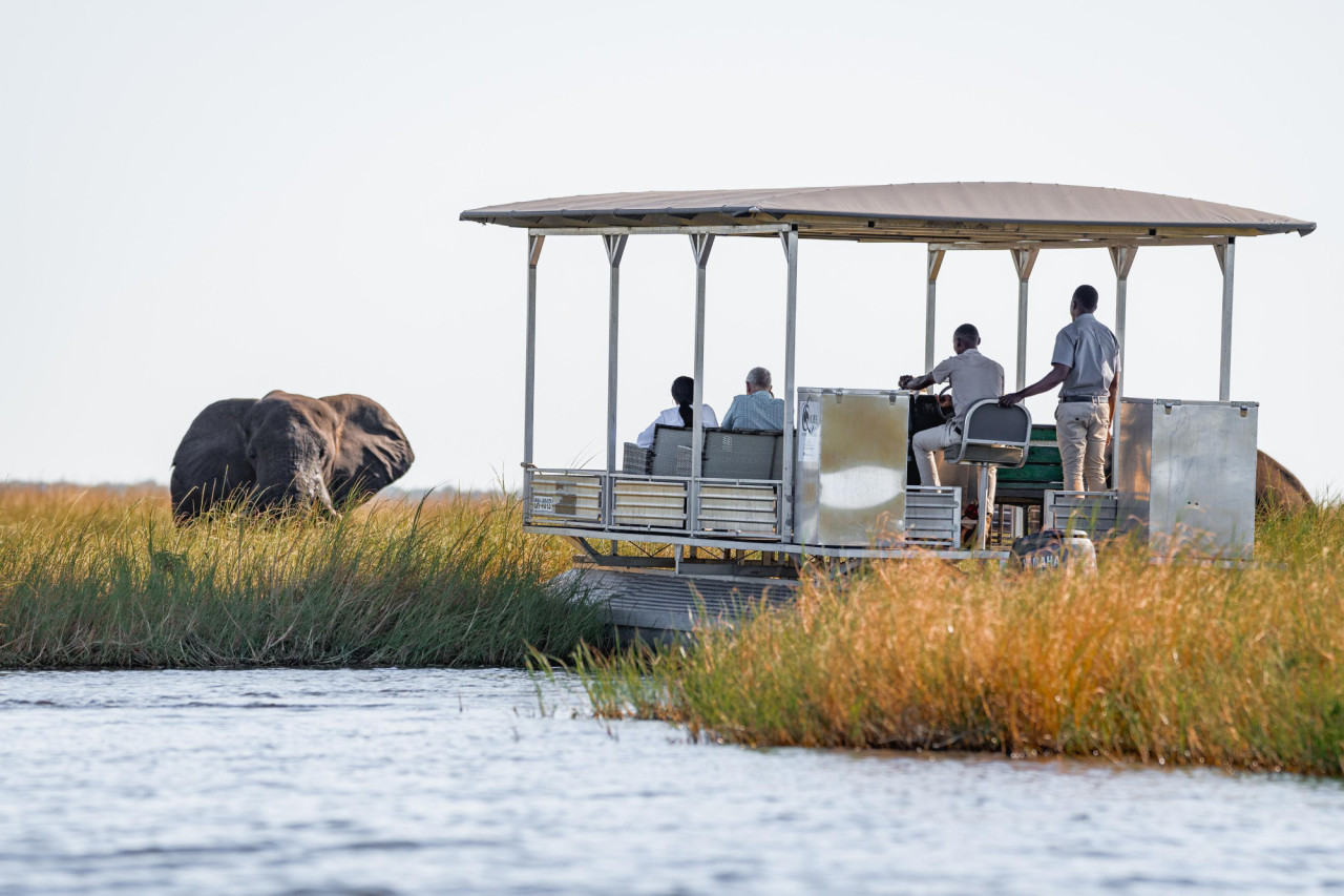 Bootssafaris auf dem berühmten Chobe-Fluss