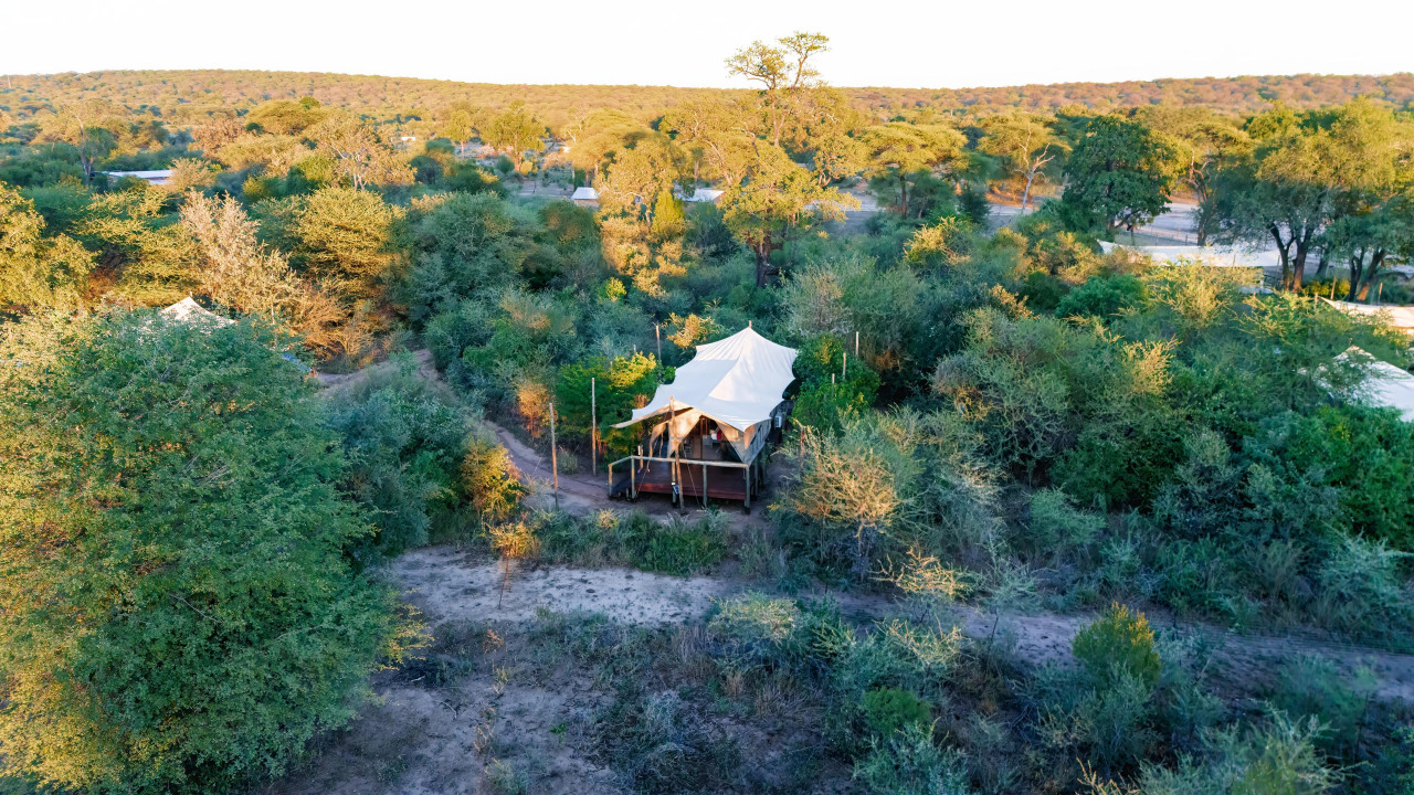 Safari-Erlebnis vor den Toren des Chobe Nationalparks
