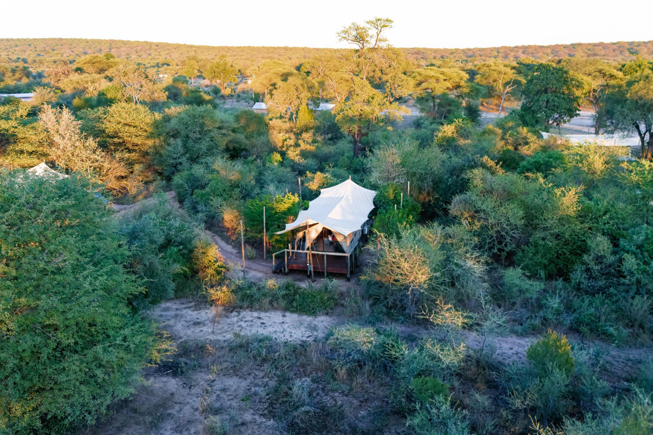 Safari-Erlebnis vor den Toren des Chobe Nationalparks