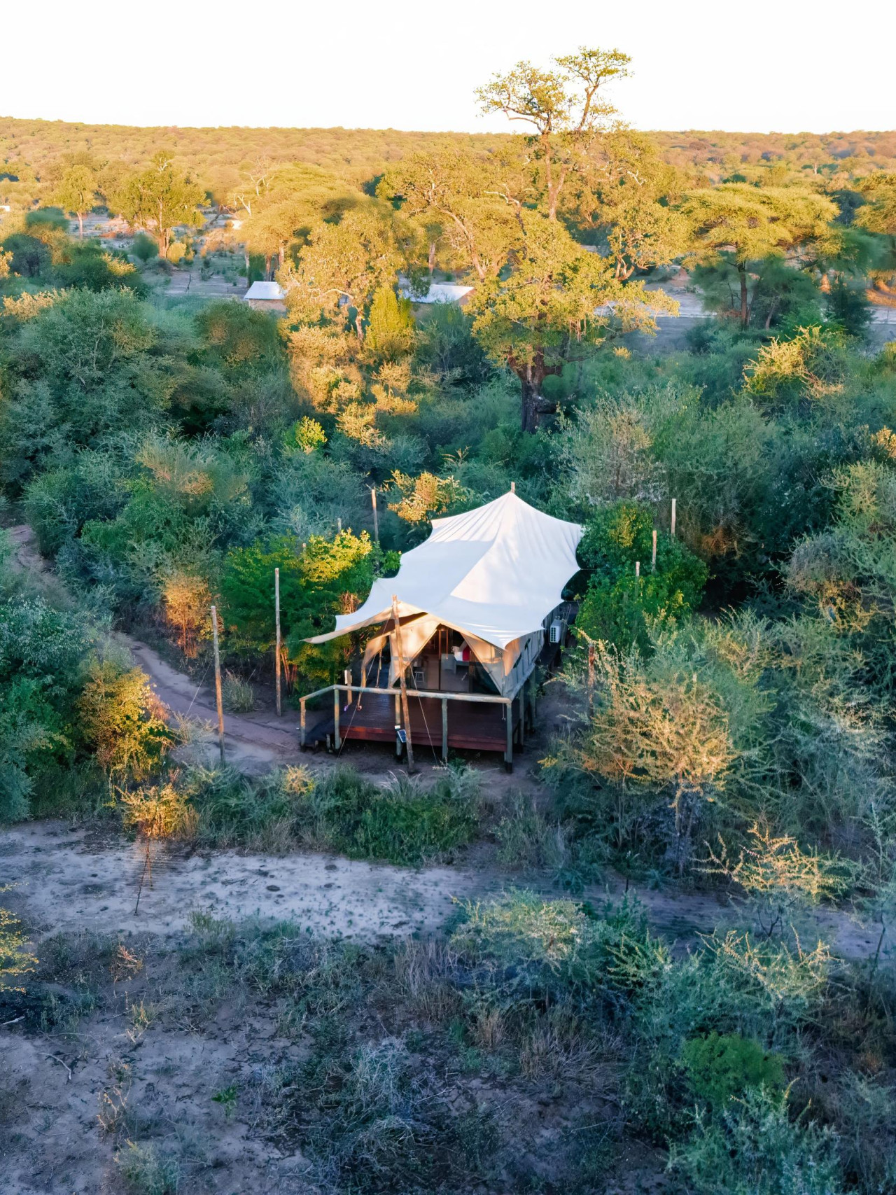 Safari-Erlebnis vor den Toren des Chobe Nationalparks