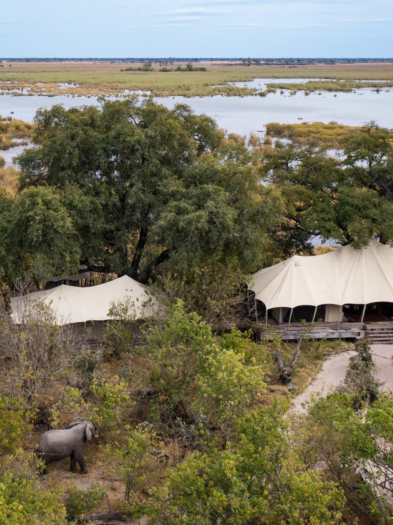 Ausgezeichnetes Camp im tierreichen Selinda Reserviat