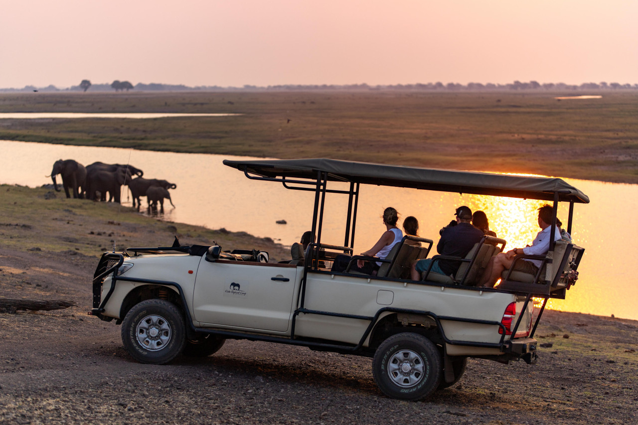 Spannende Pirschfahrt am Chobe Fluss