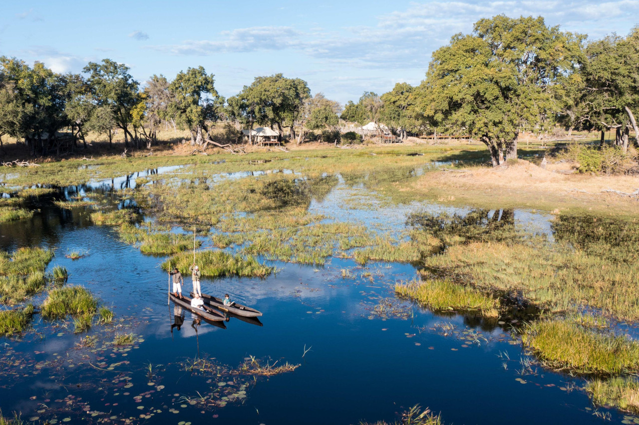 Entdecken Sie die Tierwelt vom Wasser und Land