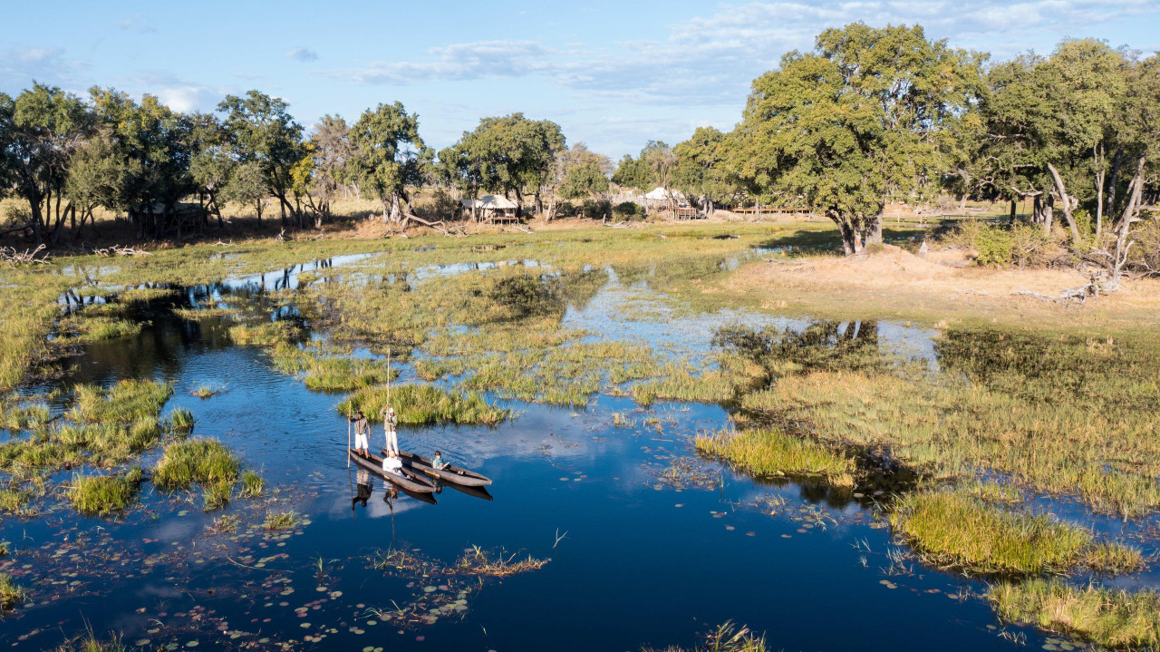 Entdecken Sie die Tierwelt vom Wasser und Land